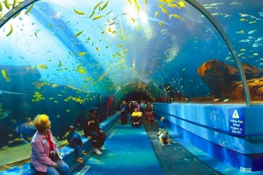 Espacioso 140 M2 Y Calidad A 250 Metros Playa Y Puerto Deportivo 5Hab 2 Banos Vut2917As ヒホン エクステリア 写真